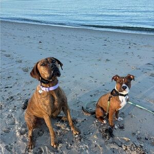 Meet your Posher, Jenna